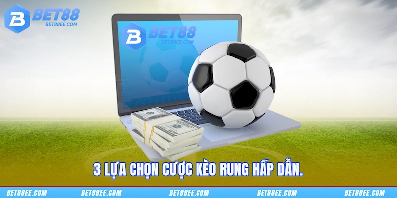 3 lựa chọn cược Kèo rung hấp dẫn