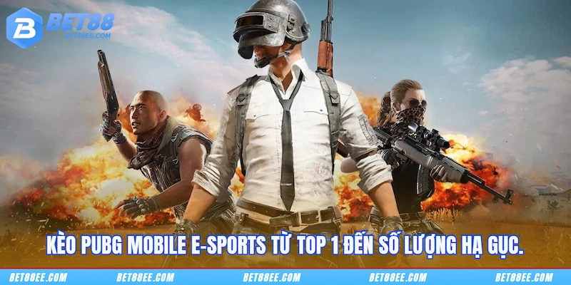 Kèo PUBG Mobile E-sports từ Top 1 đến số lượng hạ gục.