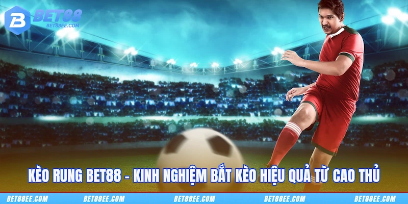 Kèo Rung BET88 - Kinh Nghiệm Bắt Kèo Hiệu Quả Từ Cao Thủ