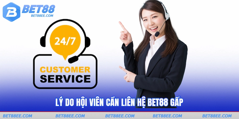 Lý do hội viên cần liên hệ BET88 gấp